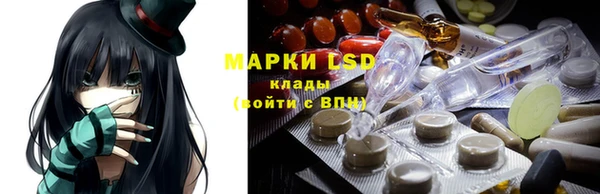 стаф Белокуриха