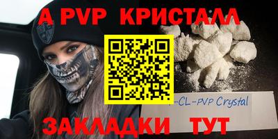 индика Ставрополь