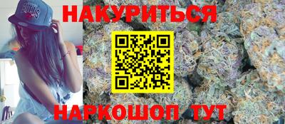 индика Ставрополь