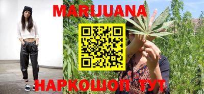 индика Ставрополь