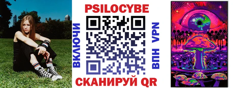 Галлюциногенные грибы Psilocybe  Обь 