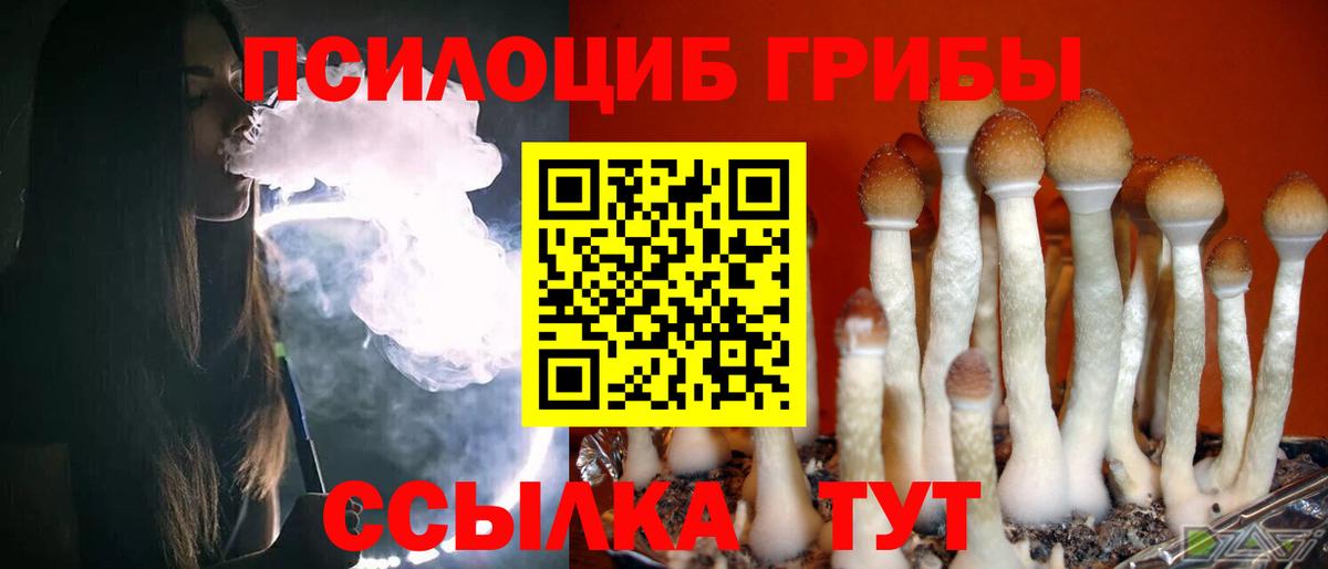 Псилоцибиновые грибы Cubensis Обь