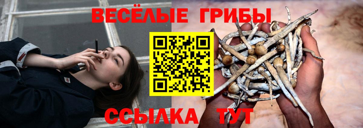 Кокаин  LSD-25  Альфа ПВП СОЛЬ кристаллы  Вход с VPN  Меф МЯУ МЯУ   Обь  Гашиш  Конопля 