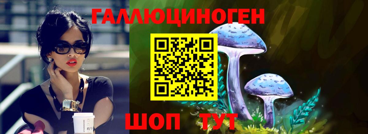 Обь  купить наркотики сайты  Галлюциногенные грибы Magic Shrooms  Вход с VPN  Галлюциногенные грибы Cubensis 